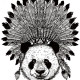 streetwear panda ntive american design